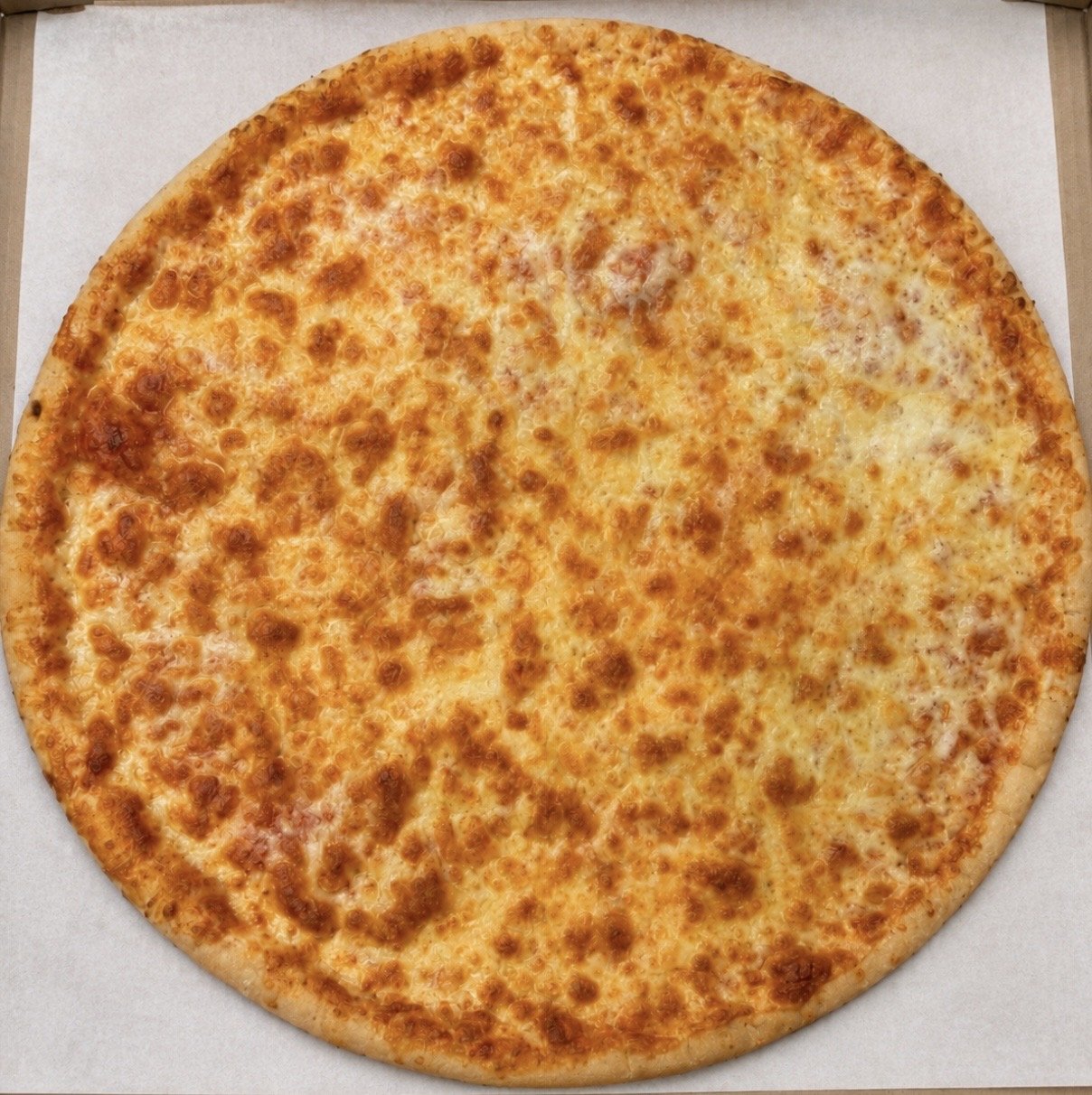 Large cheese pizza.